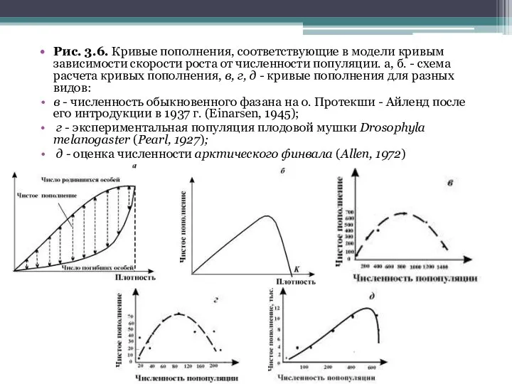 Рис. 3.6. Кривые пополнения, соответствующие в модели кривым зависимости скорости роста