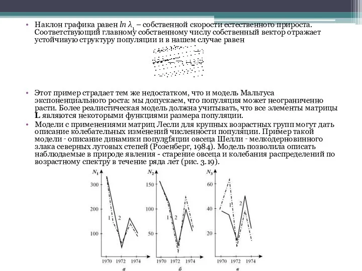 Наклон графика равен ln λ1 – собственной скорости естественного прироста. Соответствующий