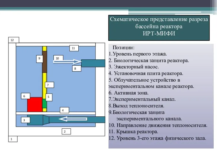 Схематическое представление разреза бассейна реактора ИРТ-МИФИ Позиции: 1.Уровень первого этажа. 2.