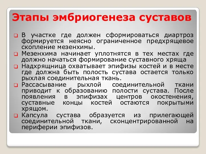 Этапы эмбриогенеза суставов В участке где должен сформироваться диартроз формируется неясно