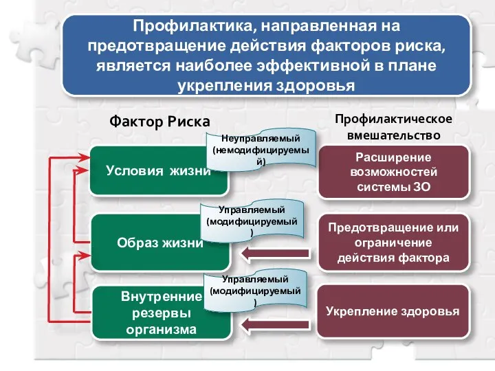 Профилактика, направленная на предотвращение действия факторов риска, является наиболее эффективной в