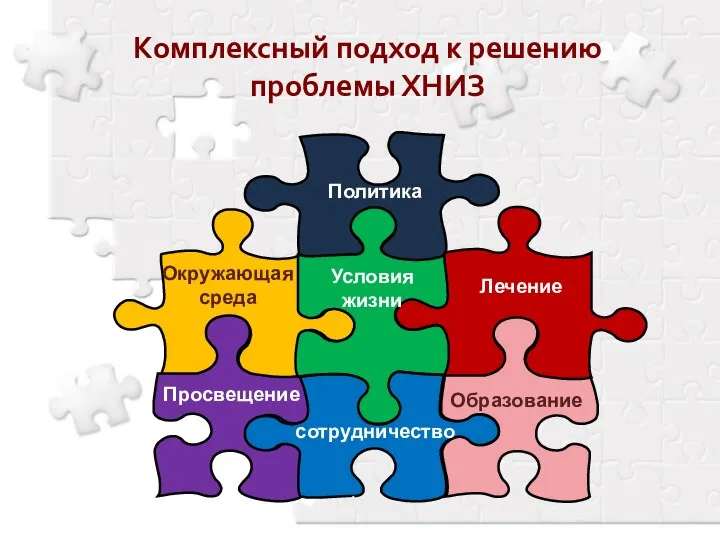 Комплексный подход к решению проблемы ХНИЗ Окружающая среда Политика Просвещение Образование Условия жизни Лечение сотрудничество