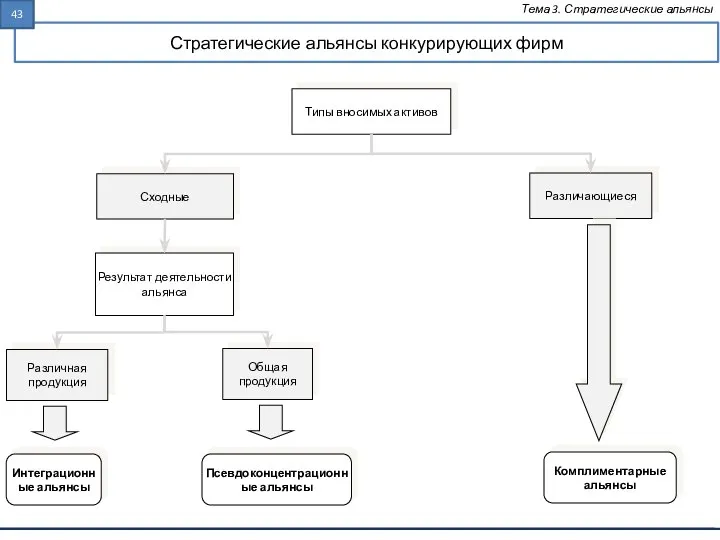 Стратегические альянсы конкурирующих фирм Тема 3. Стратегические альянсы Типы вносимых активов