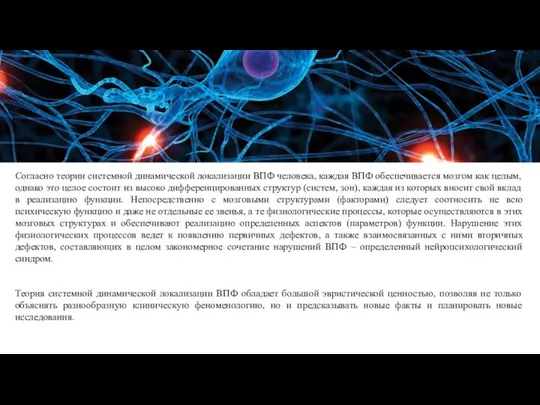 Согласно теории системной динамической локализации ВПФ человека, каждая ВПФ обеспечивается мозгом