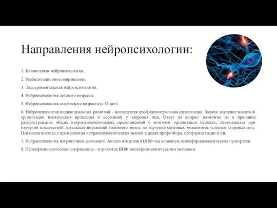 Направления нейропсихологии: 1. Клиническая нейропсихология. 2. Реабилитационное направление. 3. Экспериментальная нейропсихология.