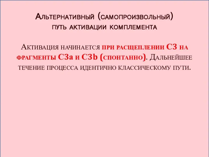 Альтернативный (самопроизвольный) путь активации комплемента Активация начинается при расщеплении С3 на