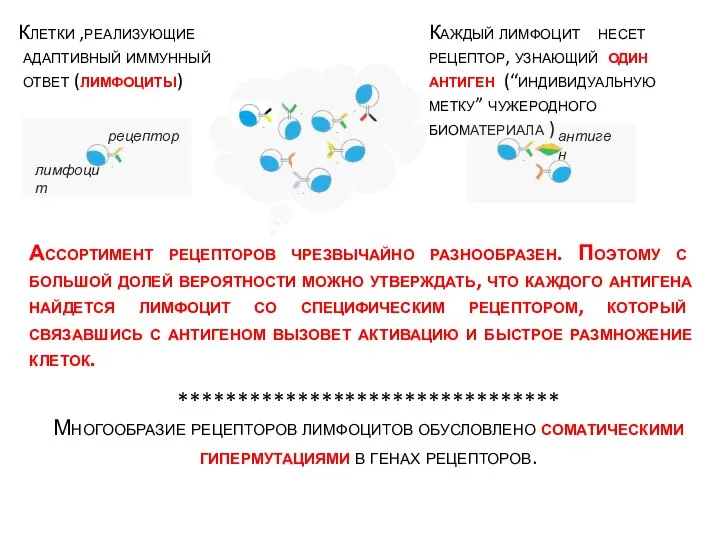 Ассортимент рецепторов чрезвычайно разнообразен. Поэтому с большой долей вероятности можно утверждать,