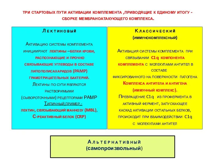 три стартовых пути активации комплемента ,приводящие к единому итогу - сборке