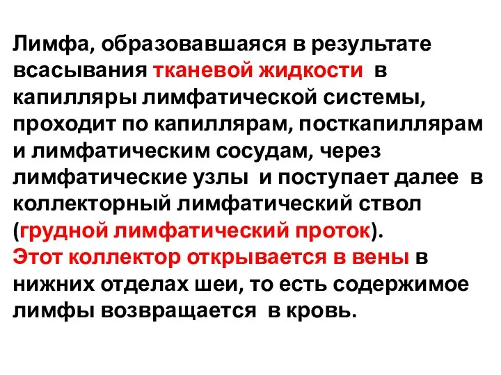 Лимфа, образовавшаяся в результате всасывания тканевой жидкости в капилляры лимфатической системы,