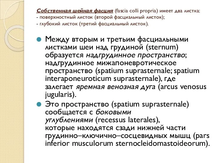 Собственная шейная фасция (fascia colli propria) имеет два листка: - поверхностный