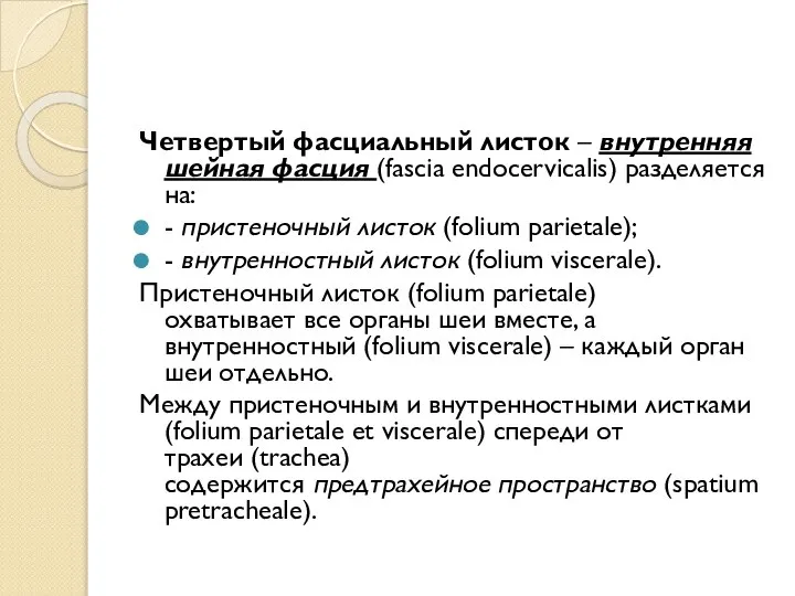 Четвертый фасциальный листок – внутренняя шейная фасция (fascia endocervicalis) разделяется на: