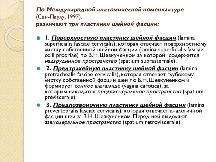 По Международной анатомической номенклатуре (Сан-Паулу, 1997), различают три пластинки шейной фасции: