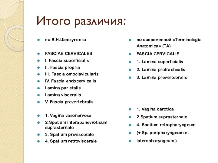 Итого различия: по В.Н.Шевкуненко FASCIAE CERVICALES I. Fascia superficialis II. Fascia