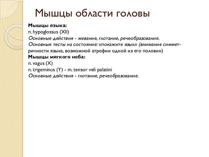 Мышцы области головы Мышцы языка: п. hypoglossus (XII) Основные действия -