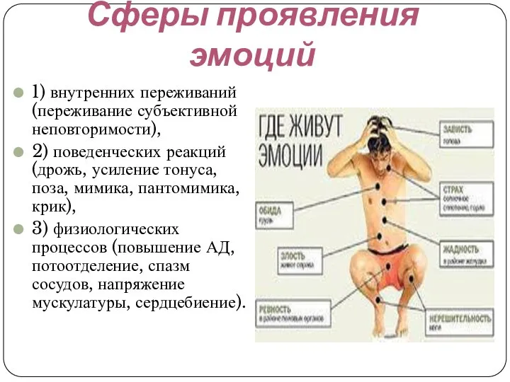 Сферы проявления эмоций 1) внутренних переживаний (переживание субъективной неповторимости), 2) поведенческих