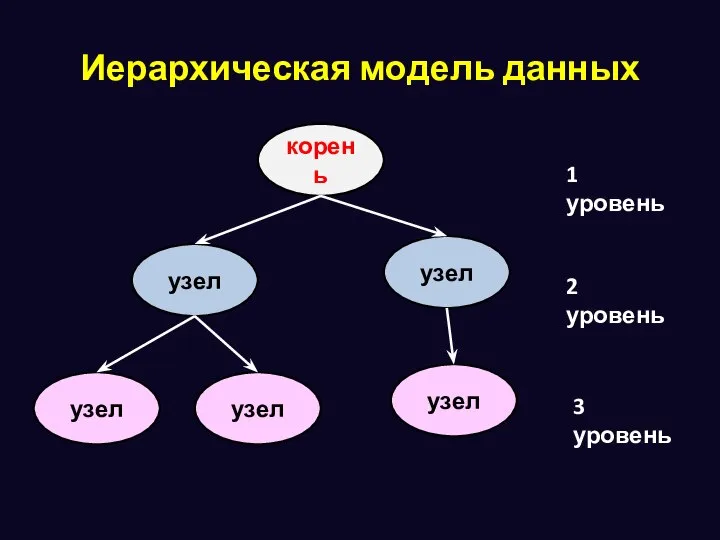 Иерархическая модель данных