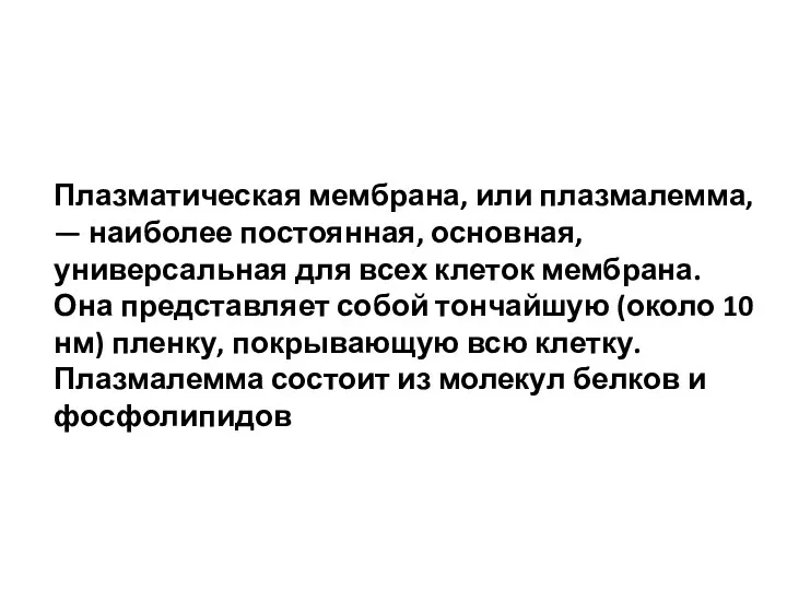 Плазматическая мембрана, или плазмалемма, — наиболее постоянная, основная, универсальная для всех