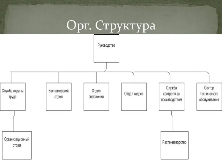 Орг. Структура