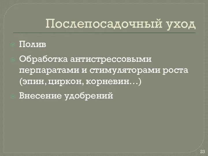 Послепосадочный уход Полив Обработка антистрессовыми перпаратами и стимуляторами роста (эпин, циркон, корневин…) Внесение удобрений