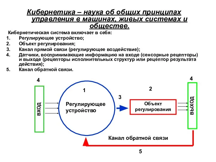 Кибернетика – наука об общих принципах управления в машинах, живых системах