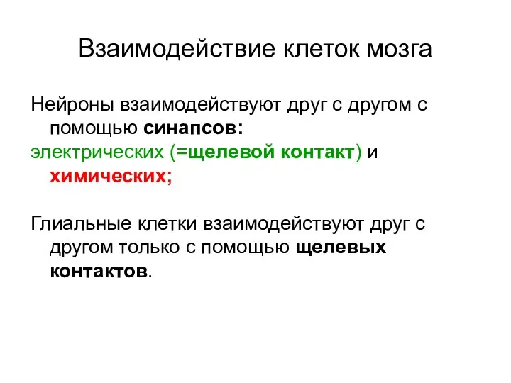 Взаимодействие клеток мозга Нейроны взаимодействуют друг с другом с помощью синапсов: