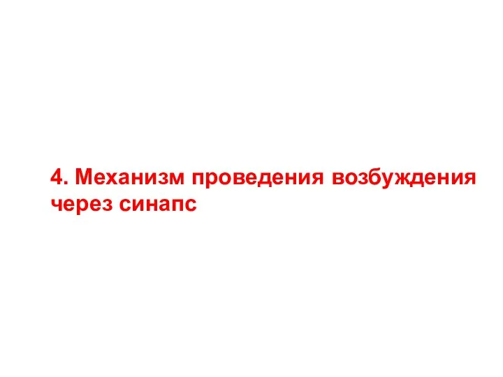 4. Механизм проведения возбуждения через синапс