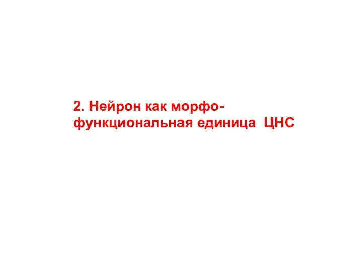 2. Нейрон как морфо-функциональная единица ЦНС