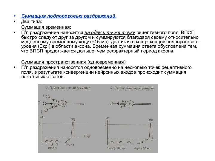 Суммация подпороговых раздражений. Два типа: Суммация временная; П/п раздражение наносится на