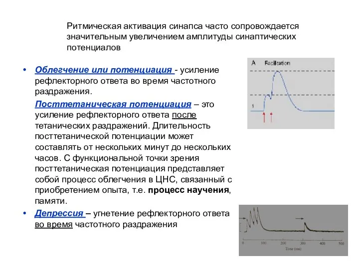 Облегчение или потенциация - усиление рефлекторного ответа во время частотного раздражения.