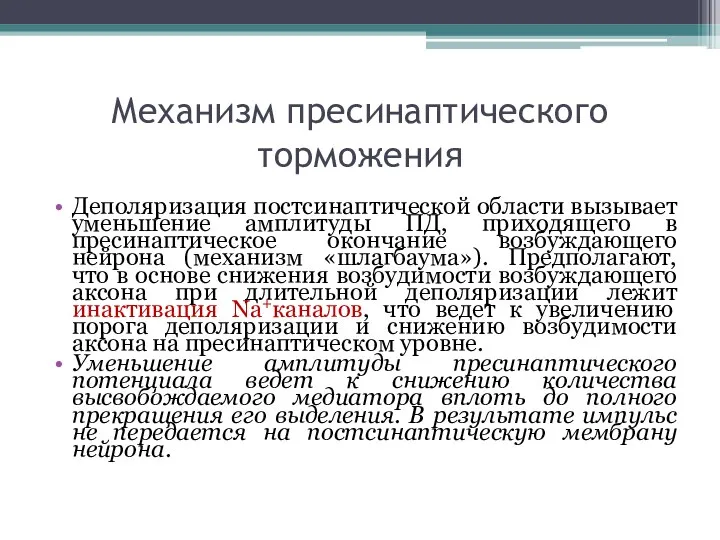 Механизм пресинаптического торможения Деполяризация постсинаптической области вызывает уменьшение амплитуды ПД, приходящего