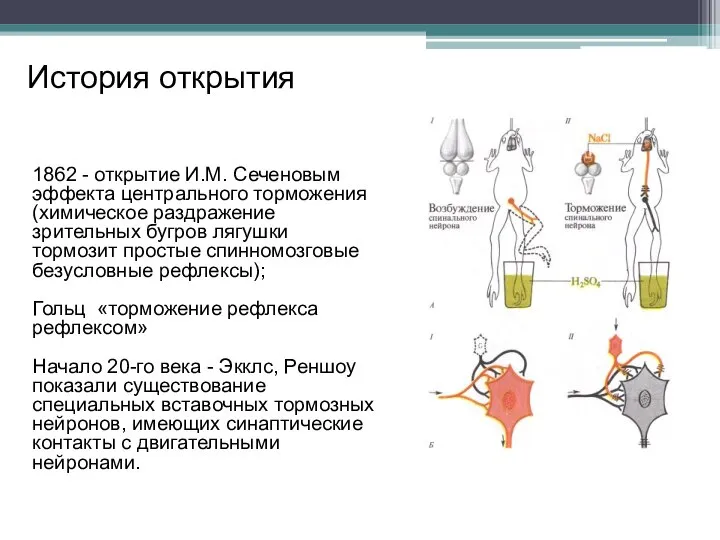 История открытия 1862 - открытие И.М. Сеченовым эффекта центрального торможения (химическое