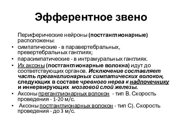 Эфферентное звено Периферические нейроны (постганглионарные) расположены: симпатические - в паравертебральных, превертебральных