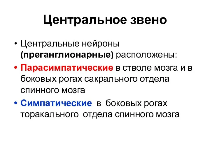 Центральное звено Центральные нейроны (преганглионарные) расположены: Парасимпатические в стволе мозга и