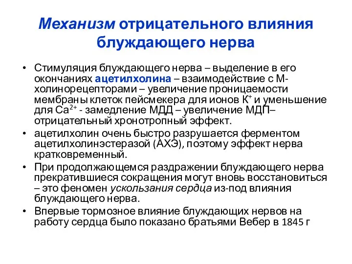 Механизм отрицательного влияния блуждающего нерва Стимуляция блуждающего нерва – выделение в