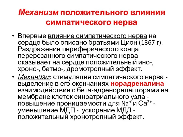 Механизм положительного влияния симпатического нерва Впервые влияние симпатического нерва на сердце