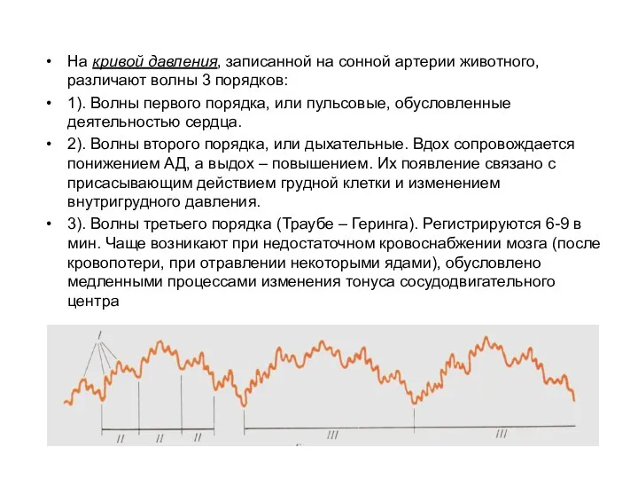 На кривой давления, записанной на сонной артерии животного, различают волны 3