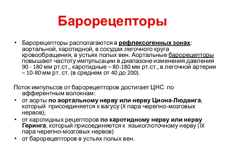 Барорецепторы Барорецепторы располагаются в рефлексогенных зонах: аортальной, каротидной, в сосудах легочного