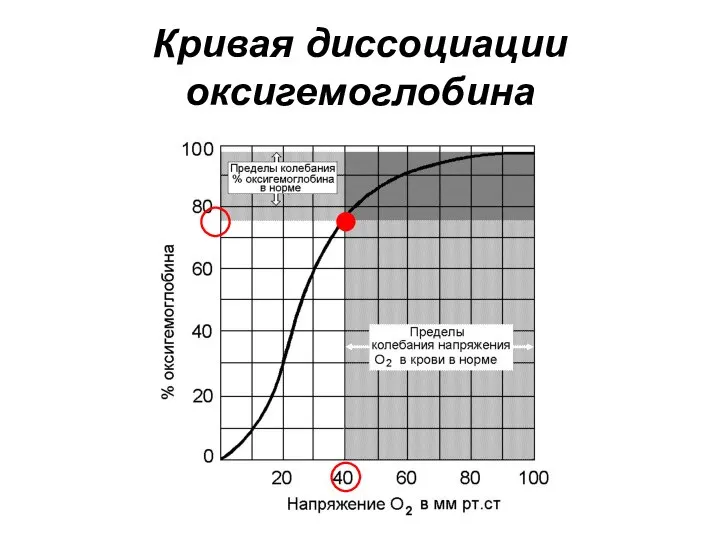 Кривая диссоциации оксигемоглобина