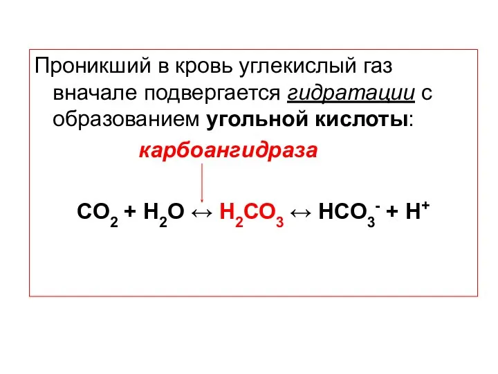 Проникший в кровь углекислый газ вначале подвергается гидратации с образованием угольной