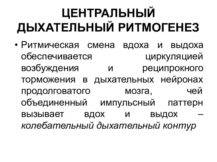 ЦЕНТРАЛЬНЫЙ ДЫХАТЕЛЬНЫЙ РИТМОГЕНЕЗ Ритмическая смена вдоха и выдоха обеспечивается циркуляцией возбуждения