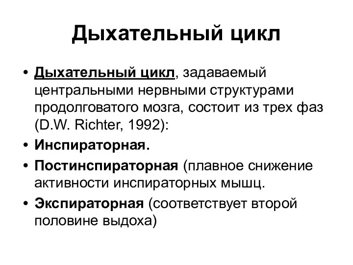 Дыхательный цикл Дыхательный цикл, задаваемый центральными нервными структурами продолговатого мозга, состоит