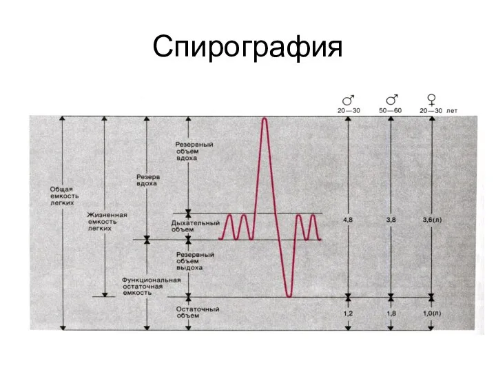 Спирография