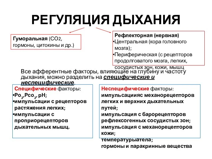 РЕГУЛЯЦИЯ ДЫХАНИЯ Все афферентные факторы, влияющие на глубину и частоту дыхания,