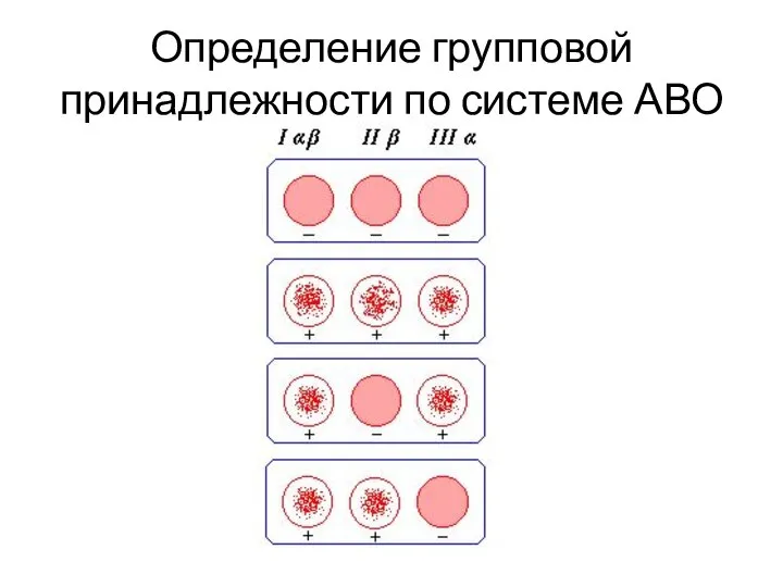 Определение групповой принадлежности по системе АВО