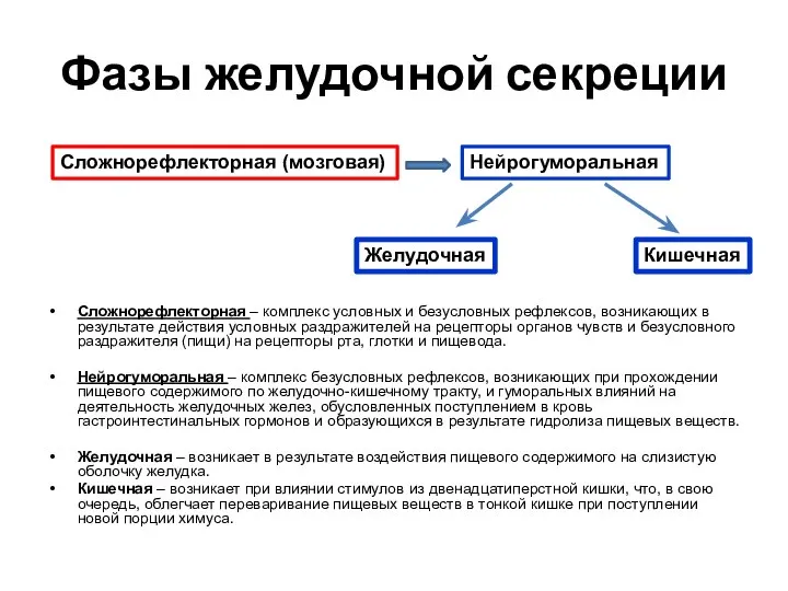 Фазы желудочной секреции Сложнорефлекторная – комплекс условных и безусловных рефлексов, возникающих