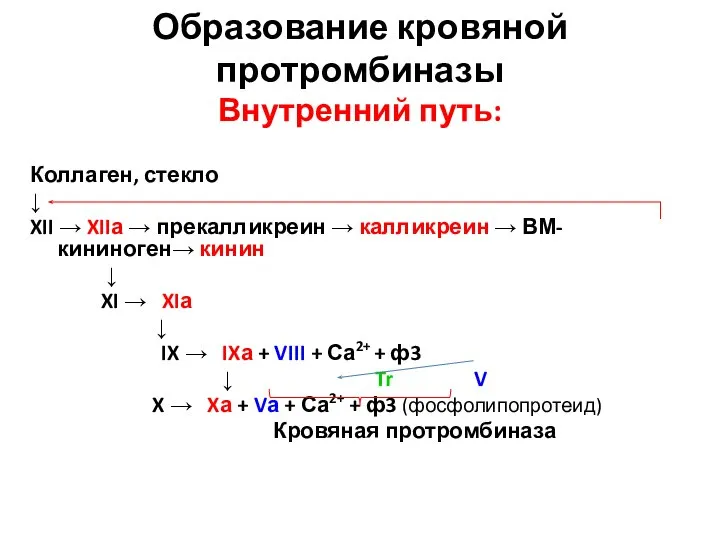 Образование кровяной протромбиназы Внутренний путь: Коллаген, стекло ↓ XII → XIIа