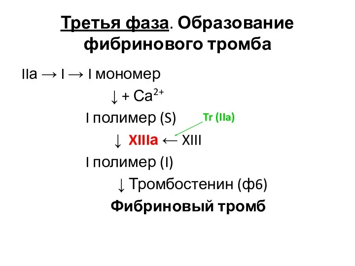 Третья фаза. Образование фибринового тромба IIа → I → I мономер