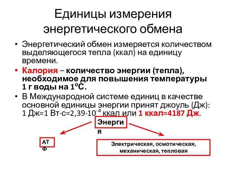 Единицы измерения энергетического обмена Энергетический обмен измеряется количеством выделяющегося тепла (ккал)