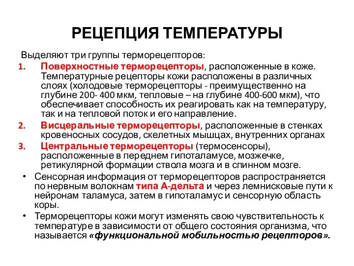 РЕЦЕПЦИЯ ТЕМПЕРАТУРЫ Выделяют три группы терморецепторов: Поверхностные терморецепторы, расположенные в коже.