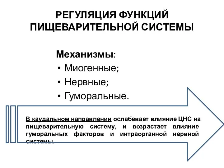 РЕГУЛЯЦИЯ ФУНКЦИЙ ПИЩЕВАРИТЕЛЬНОЙ СИСТЕМЫ Механизмы: Миогенные; Нервные; Гуморальные. В каудальном направлении